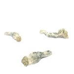 Bio Frost Mushroom Strain with Frosty White Caps and Potent Psilocybin Effects