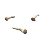 Lucid Gates Mushroom Strain with Vivid Psychedelic Effects