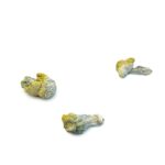 Nutcracker Mushroom Strain with Vivid Visuals and Euphoric Effects