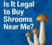 Is It Legal to Buy Shrooms Near Me?" with psilocybin mushrooms on a blue background.