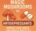 Illustration comparing magic mushrooms to antidepressant pills with the text "Magic Mushrooms vs Antidepressants – Which One Wins the Mood Battle?"