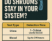 Shrroms in your system. psilocybin drug tests, broken down by test type.