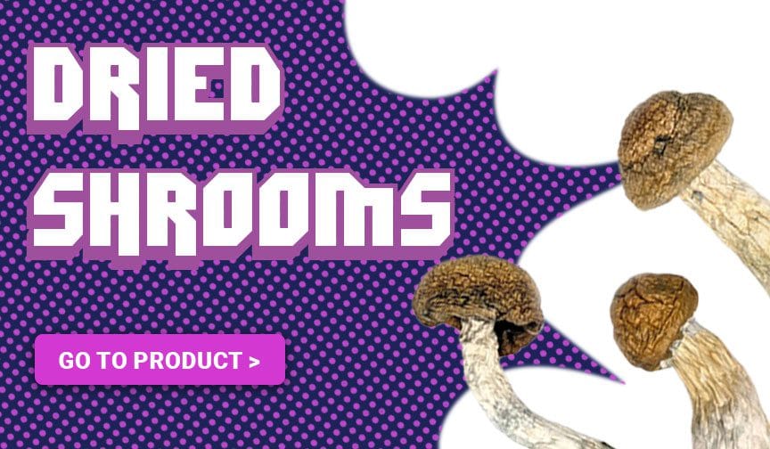Dried Mushrooms Cat Home