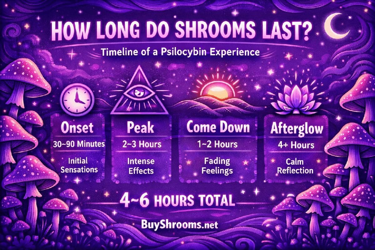 Psilocybin mushroom dosage guide showing common shroom dose ranges from microdose to full psychedelic experience.